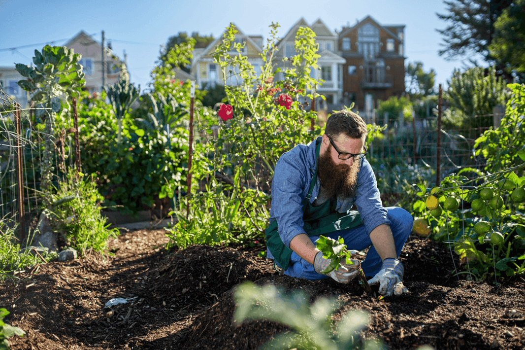 Gardening for health and wellbeing