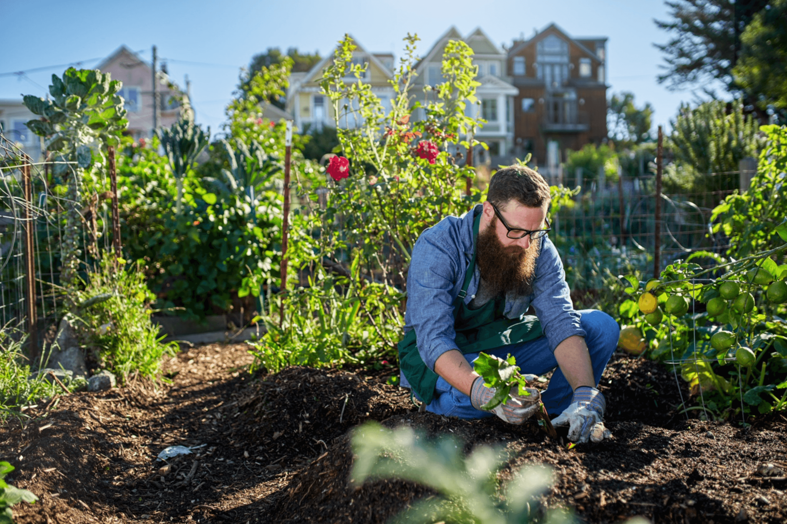Gardening for health and wellbeing