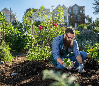 Gardening for health and wellbeing