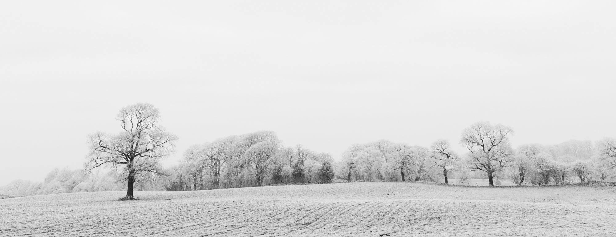 How to Photograph Frost