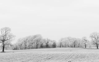 How to Photograph Frost