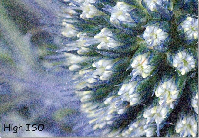 Understanding ISO