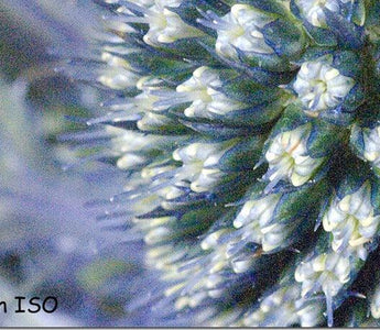 Understanding ISO