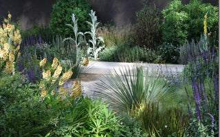 New Year: A Great Time To Sign Up For A Gardening Course
