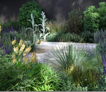 New Year: A Great Time To Sign Up For A Gardening Course