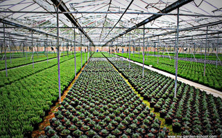 Horticulture - A career to be proud of