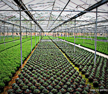 Horticulture - A career to be proud of