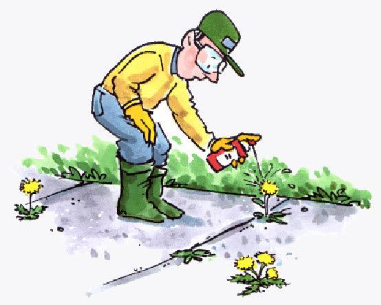 Weeds and Weed Control