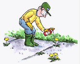 Weeds and Weed Control