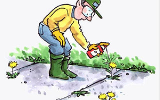 Weeds and Weed Control