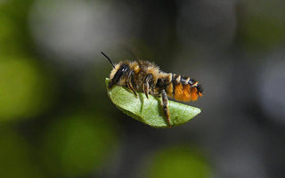 Young wildlife photo contest winners are an inspiration to all ages