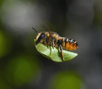 Young wildlife photo contest winners are an inspiration to all ages