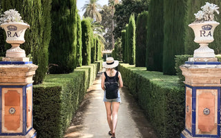 Hidden Evergreens. A voyage of discovery