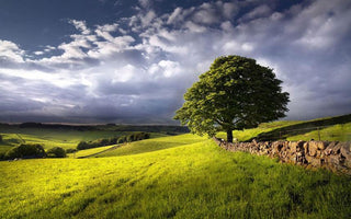 An Easy Guide To Landscape Filters