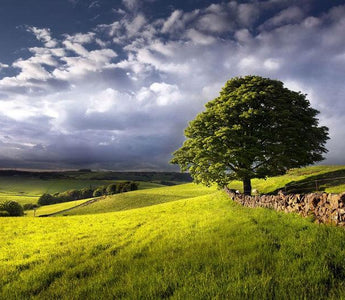 An Easy Guide To Landscape Filters