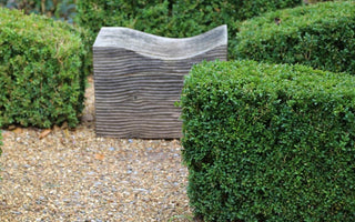 How to grow the perfect hedge: surrounding, dividing and enhancing your garden the greener way