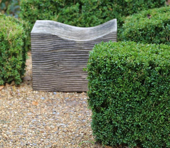 How to grow the perfect hedge: surrounding, dividing and enhancing your garden the greener way