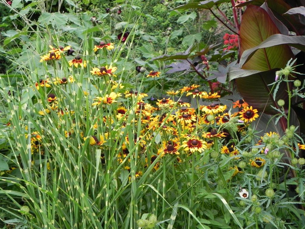 Further thoughts on the future of gardening