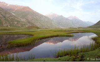 10 Tips for Shooting Great Panoramic Images