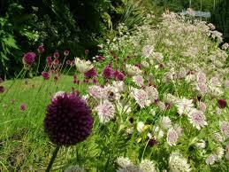 MyGardenSchool on Panel at The Bulb of Year Award