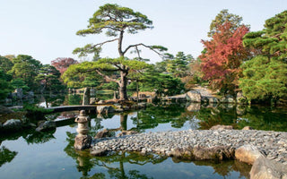 Historic Garden Elements and Styles