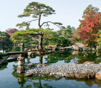 Historic Garden Elements and Styles