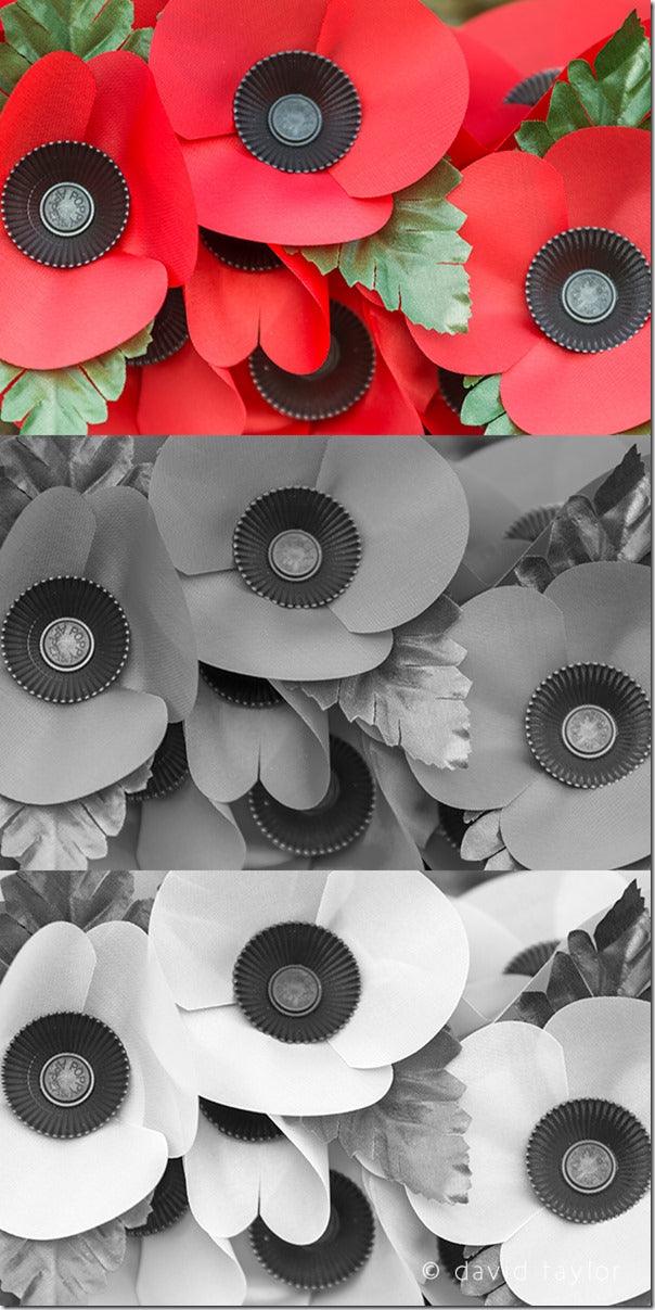 Black & White Photography Filters