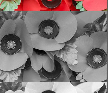 Black & White Photography Filters