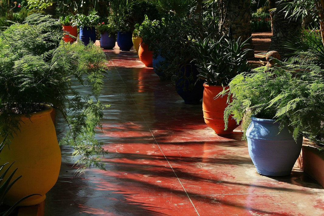 Jardin Majorelle. Marrakech - Moroccan Magic