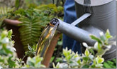 Feeding Plants: Manures & Fertilizers