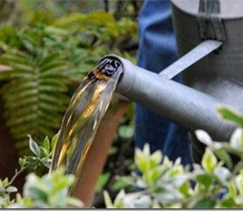 Feeding Plants: Manures & Fertilizers