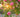 Blooming Marvellous Photos