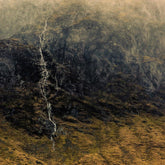 Calling All Landscape Photographers!