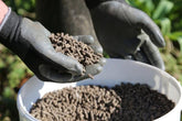 How to feed your plants &ndash; give them a balanced fertiliser