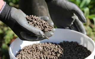 How to feed your plants &ndash; give them a balanced fertiliser