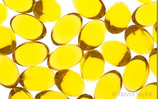 Macro Photography: Macro Images on a Budget Pt. 2