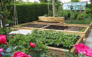 How to make a raised bed, construct steps, build a retaining wall and landscape your garden