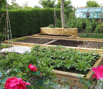 How to make a raised bed, construct steps, build a retaining wall and landscape your garden