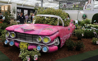Plantarium 2015: The world&rsquo;s biggest garden plant event