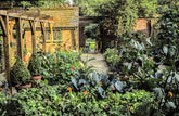 Companion Planting: Flowers To Grow With Vegetables