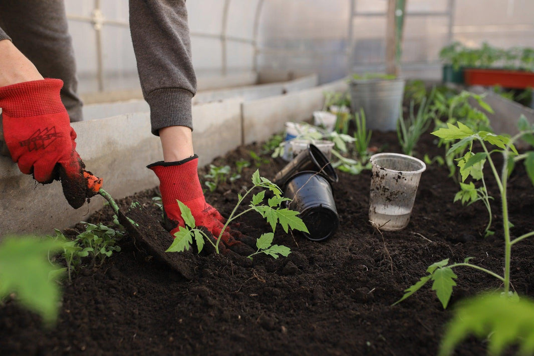 What qualifications does a gardener need?