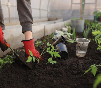 What qualifications does a gardener need?