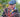Top 100 Gardening Questions; another ten frequently asked questions