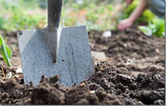 Preparing the Soil: Basic Digging