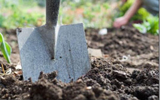 Preparing the Soil: Basic Digging