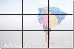 COMPOSITION: HOW TO FRAME YOUR SUBJECT – Learning with Experts