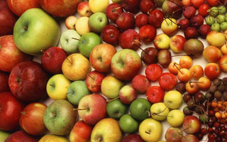 Fruit Tree Specification & Rootstocks Guide