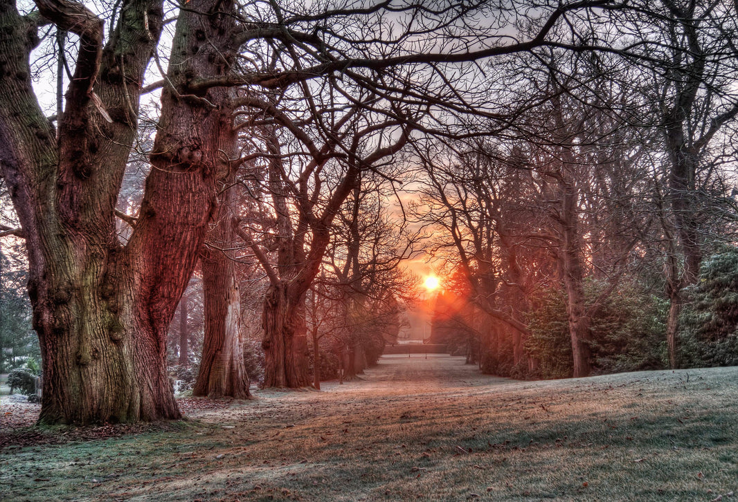 3 Tips for Fall That Will Prepare Your Home and Garden for Winter