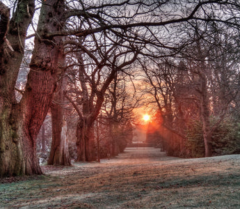 3 Tips for Fall That Will Prepare Your Home and Garden for Winter