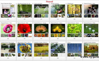 The best Gardening Boards on Pinterest